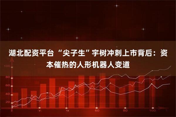 湖北配资平台 “尖子生”宇树冲刺上市背后：资本催热的人形机器人变道