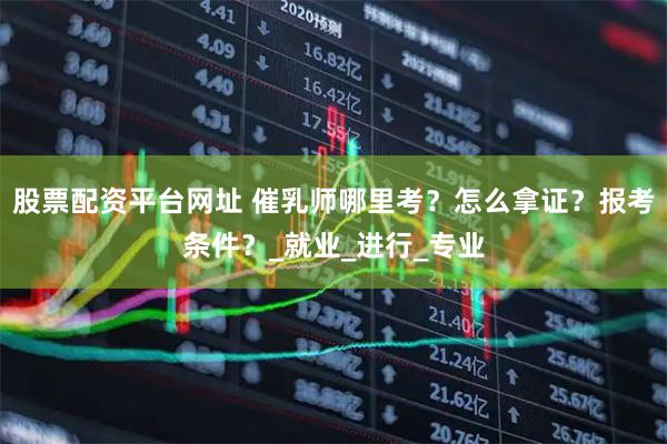 股票配资平台网址 催乳师哪里考？怎么拿证？报考条件？_就业_进行_专业